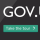 Government Access